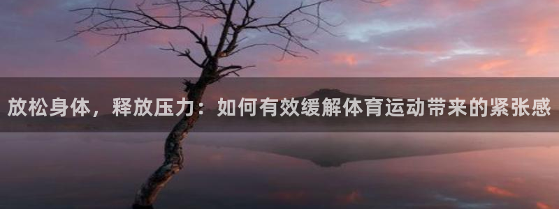 球客岛