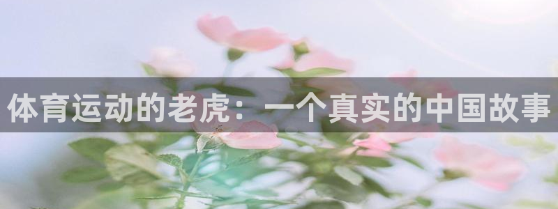 球客岛