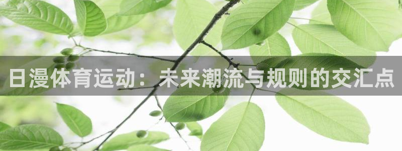 球客岛