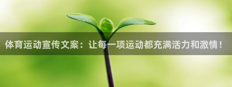 球客岛