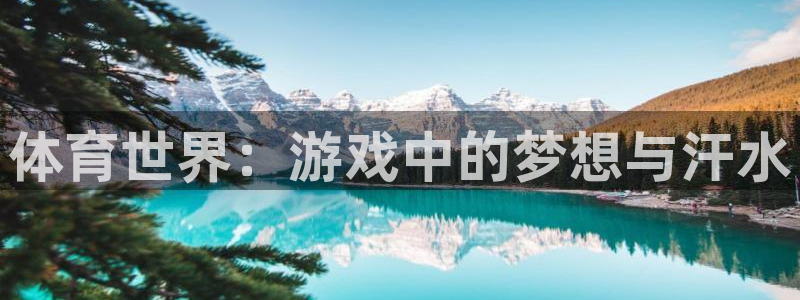 球客岛