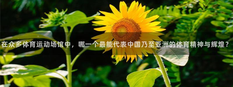 球客岛