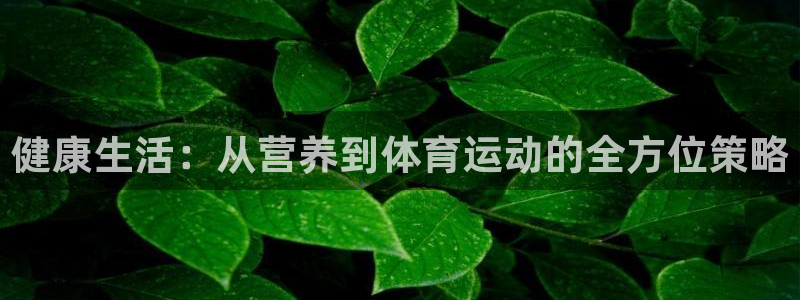 球客岛