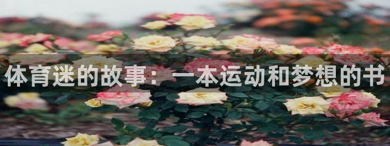 球客岛