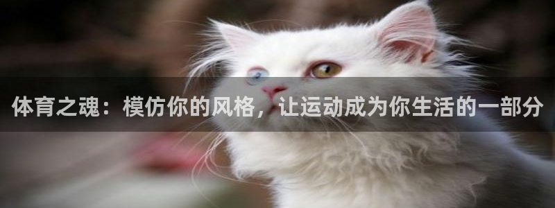 球客岛